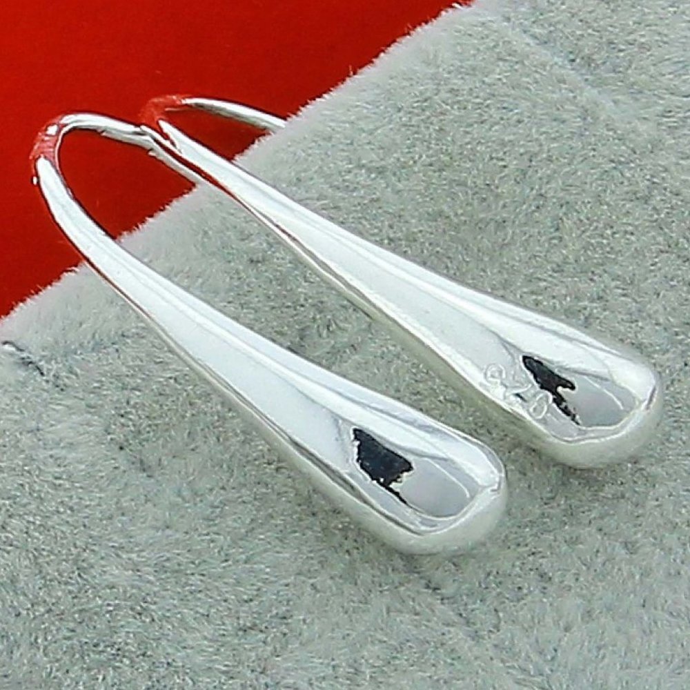 925 Sterling Water Drop Charm Earrings
